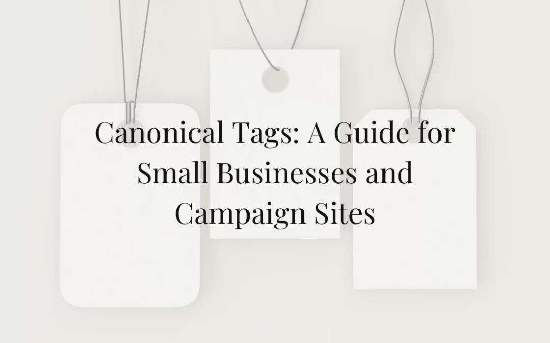 Canonical Tags: A Guide for Small Businesses and Campaign Sites