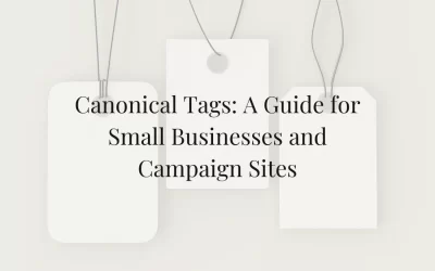 Canonical Tags: A Guide for Small Businesses and Campaign Sites